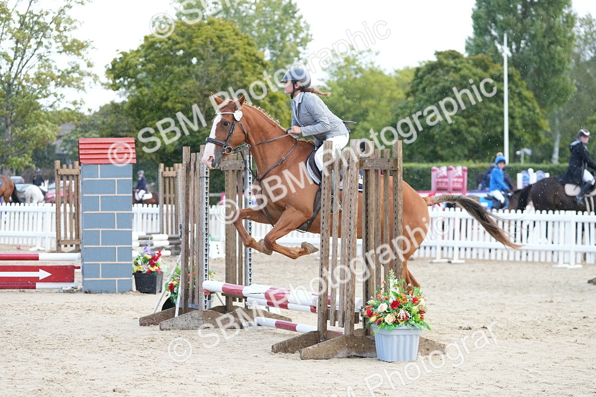 SBM_21167 - J49 - Open 50cm