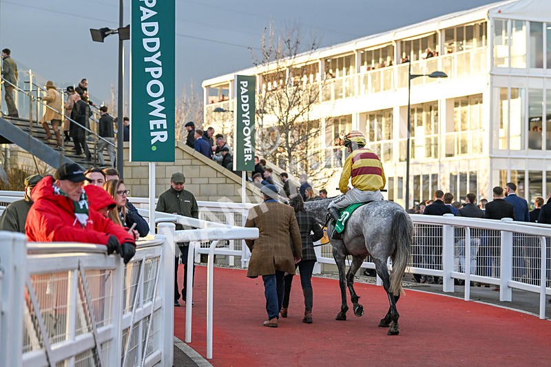 130325-Sine Nomine-WR-2212 - 13th March