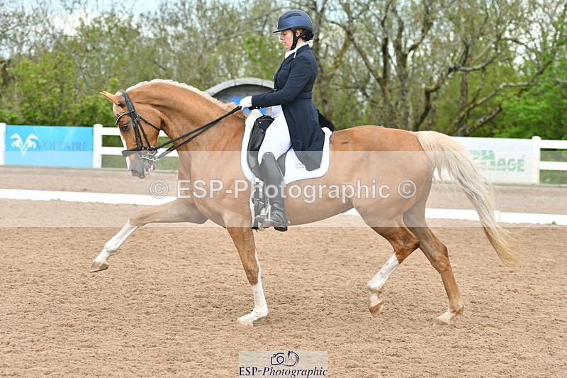 230511A-160203-01281 - BD Cls 18 FEI PSG