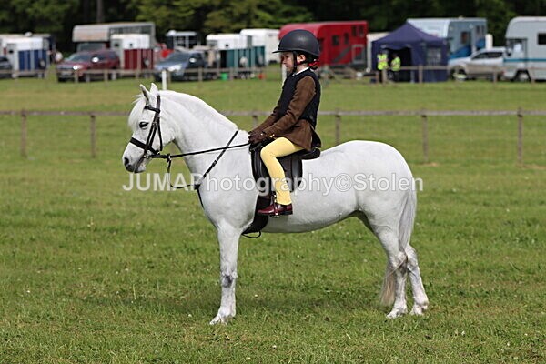 IMG_2414 - Working Hunter