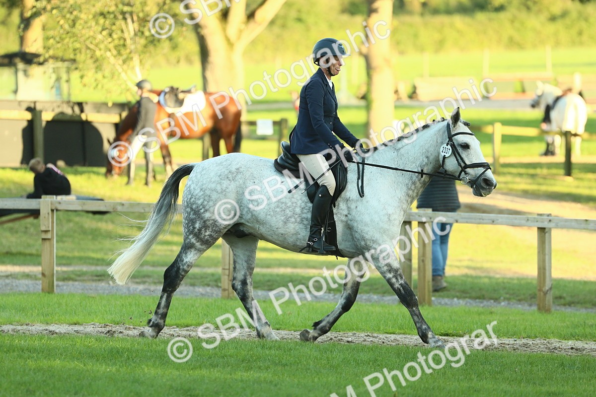 SBM_55594 - S14 - Riding Club Horse