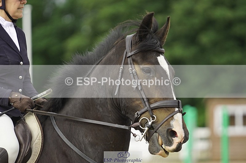 230729A-091242-04208 - Cls 20 British Novice & 90cm Open