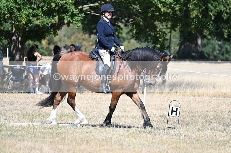 WJ7_0765 - Time 12:03 to 12:23