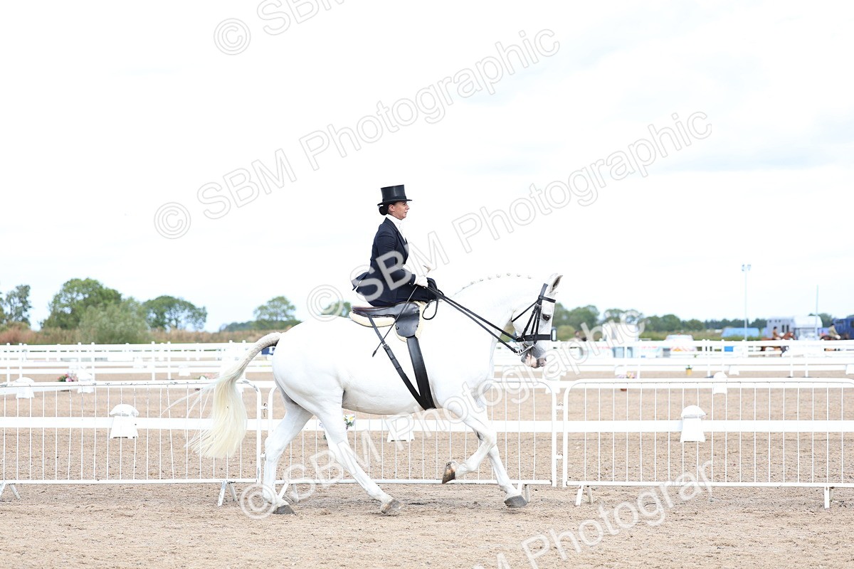 SBM_03198 - Class 22 - SSA Equitation (any age)