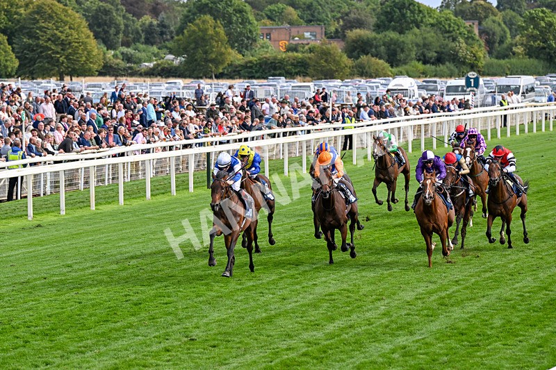 210826-Race 6-Benjamin Hornigold-0351 - Race 6 16.45pm British Stallion Studs EBF Convivial Maiden Stakes