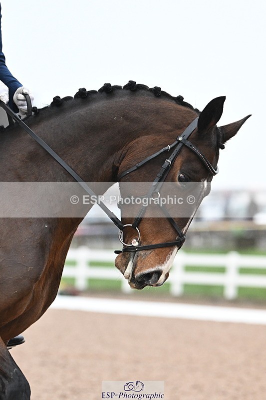 240217A-100055-00689 - 207-Charlotte.Dicker-Time.to.Fly.II