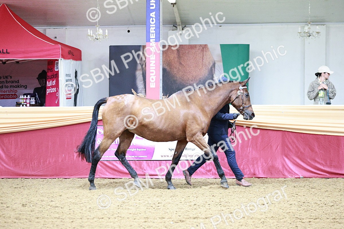 SBM_00159 - Class 1A - Area IH Diamond