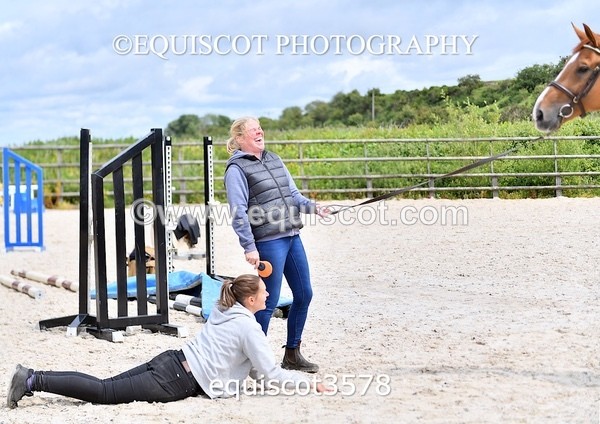 equiscot3578 - STALLION SELECTION