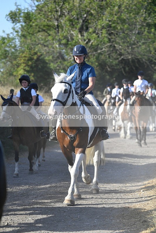 WJ5_4934 - Walk out with the hounds