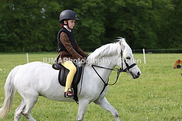 IMG_2237 - Working Hunter