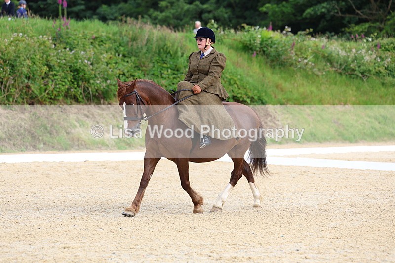 3E7A1602 - Class 2: Intro 2 2024 Section B