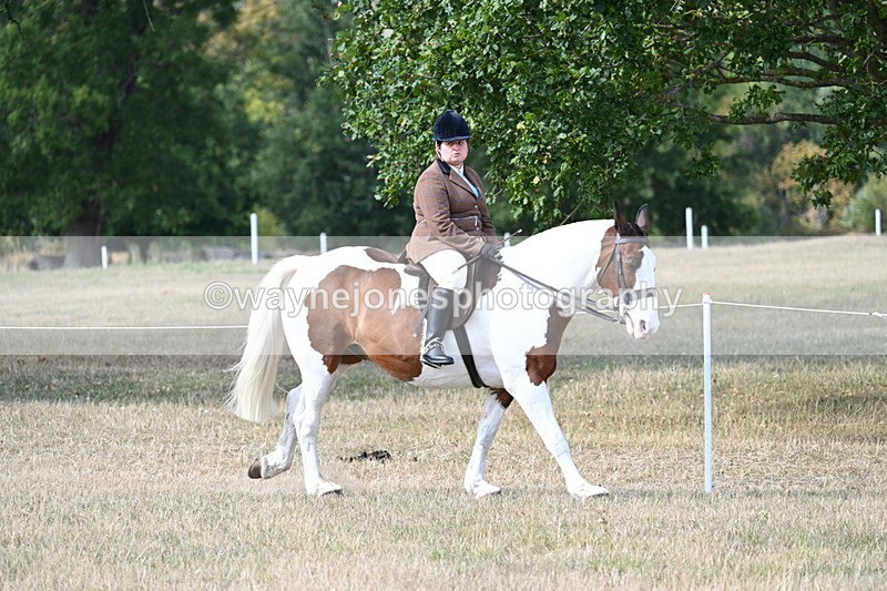 WJ7_7080 - Class 14 Ridden Coloured