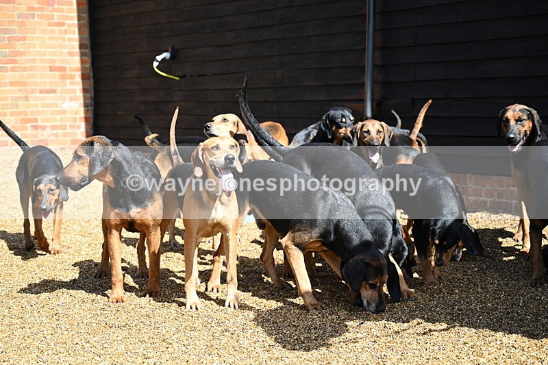 WJ7_7102 - Berks & Bucks at Blandy’s Farm 31-08-25