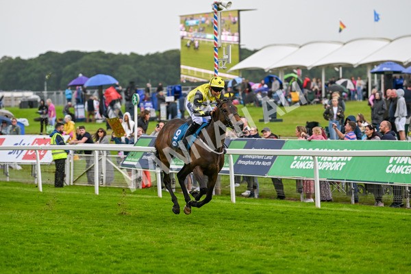 150624-F-Macmillan Ride Of Their Lives-6258 - 12.30pm Macmillan Ride of Their Lives