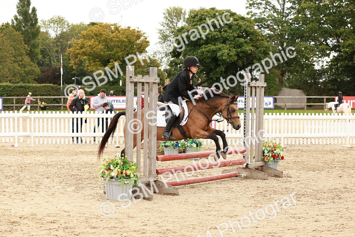 SBM_61862 - J12 - Junior Pony 55cm Championship
