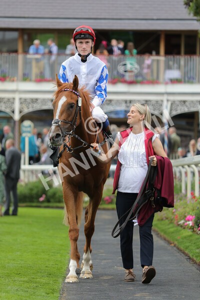 yr17082022r6-27 - Race 6 4.45 pm Celebrate ITM’s 200th IRE Voucher Winner Stakes