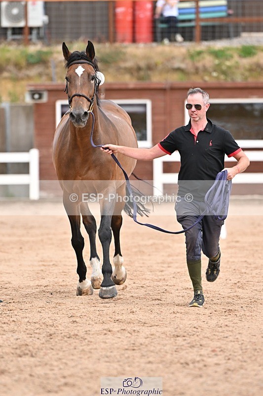 250716-151718-01843 - Trot Up 2.30 to 3.30