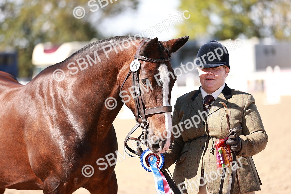 SBM_13251 - Class 405 - IH Show Cob