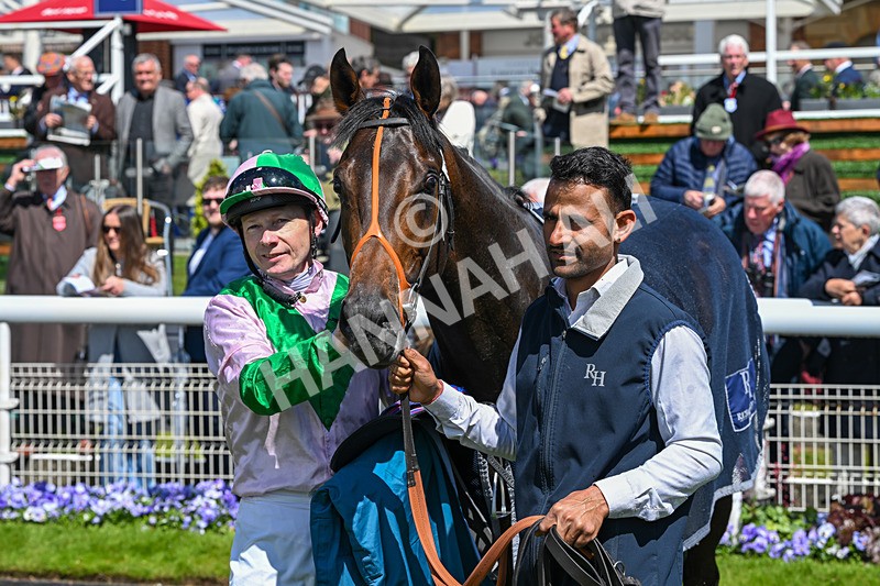140526-Race 1-Persian Spring-4502 - Race 1 1.45pm Sky Bet ebfstallions.com Novice Stakes