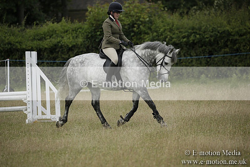B230619-0131 - Bourne Valley Riding Club Summer Show 23/06/19