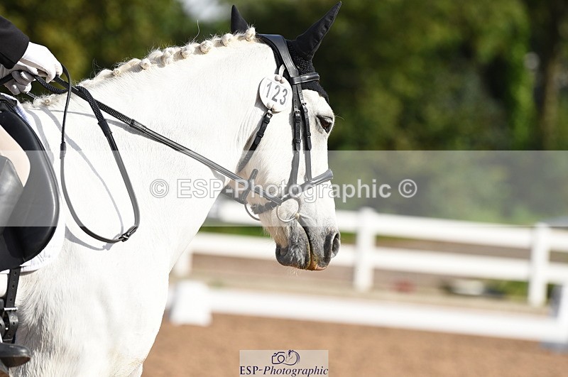 230912A-102654-00329 - Cls 5 Novice 39