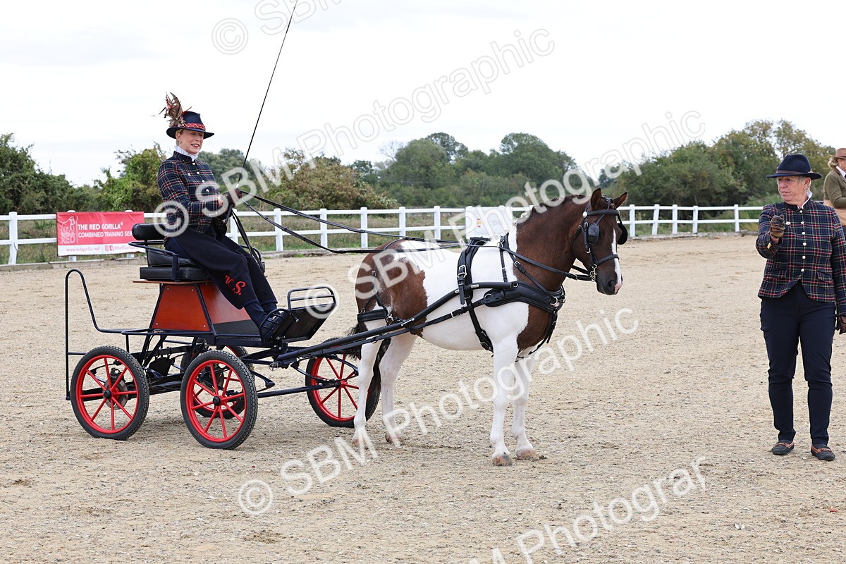 SBM_000298 - Class 2 - Exercise Vehicle 13.2hh & Under