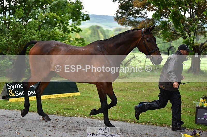 240522-153612-00469 - 379-TREBIFFIN-Neil_Fox