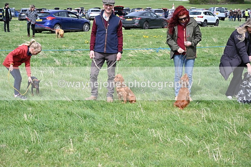 WJ6_8209 - Class 4 Prettiest Bitch