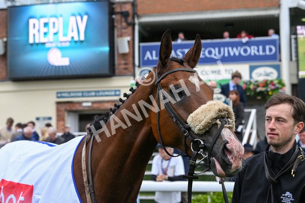 150624-Race 2-Tolstoy-6959 - Race 2 2.25pm Sky Bet Proud To Support Macmillan Handicap