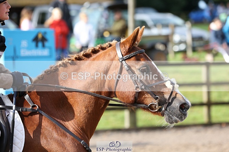 230826-090034-13360 - Round 1 Start to 9.30 Coursewalk