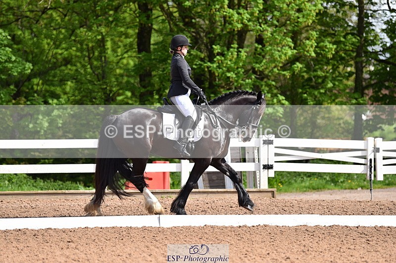 230511A-100332-00188 - BD Cls 2 Prelim 17A