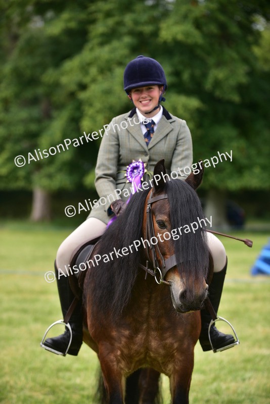 20260614-4213 - Class 17 - Best Mane and Tail