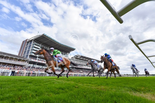 240824-Race 3-Breege-4526 - Race 3 3.00pm Sky Bet City Of York Stakes