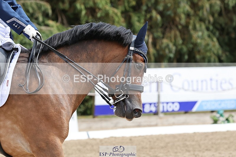 250809A-145349-04118 - 095-Alison.CrimpCrwys.Beau