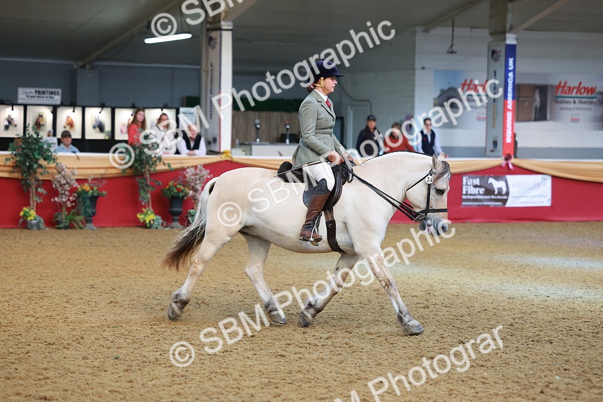 SBM_09518 - Class 102 - HOYS Veteran Qualifier - Ridden Veteran