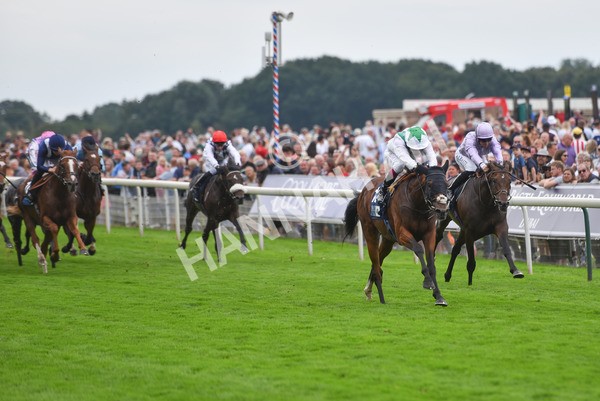 yr20082021r5-25 - Race 5 4.10pm British Stallion Studs EBF Convivial Maiden Stakes (Plus 10 Race)