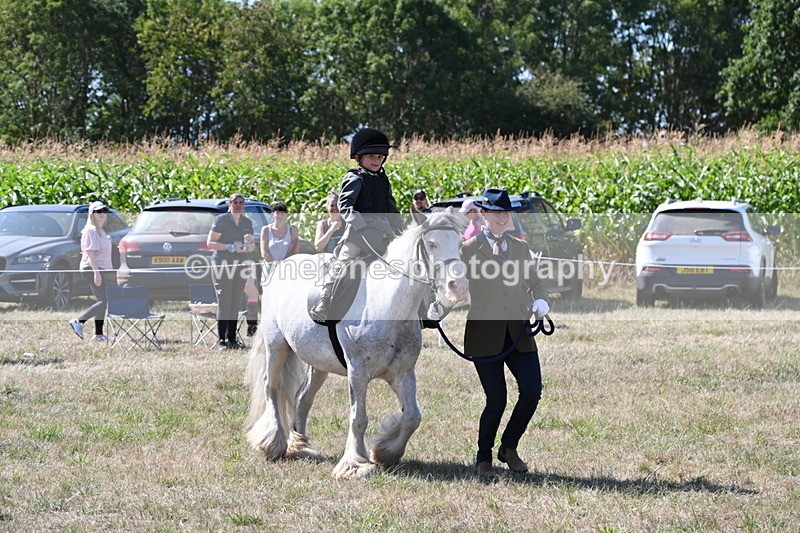 WJ6_7928 - Class 36 Lead Rein