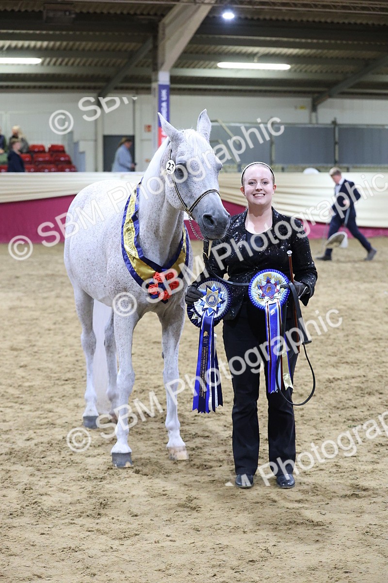 SBM_20741 - Class J - Foreign Breeds Champ