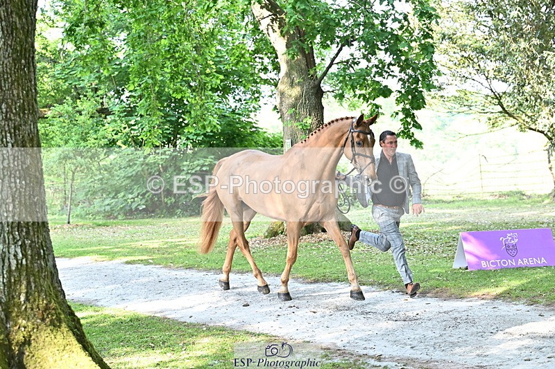 250521A-165632-01417 - C-273-Tim.Cheffings-HEARSAY.LARK.RISING