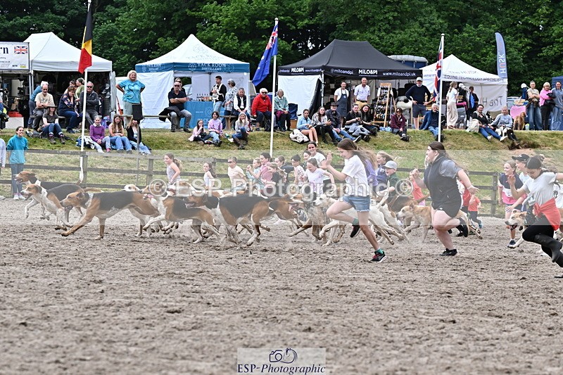 250524A-152734-12754 - East Devon Hounds