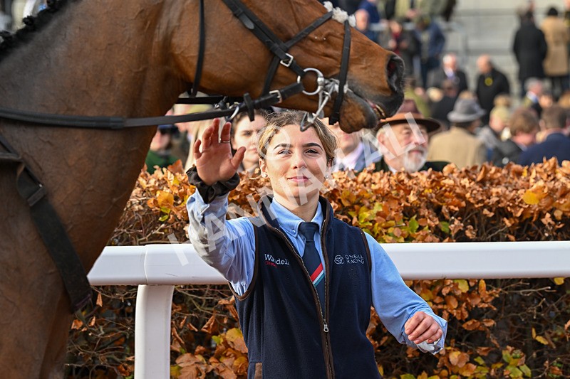 151124-Race 2-GV-7529 - Race 2