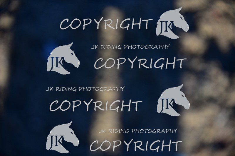 SBP_0764 - 10am - 11am