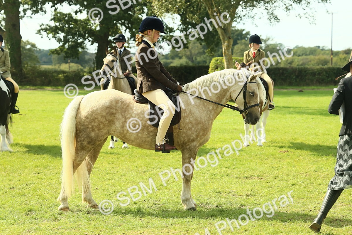 SBM_68823 - S58 - Mini Show Cob Ridden