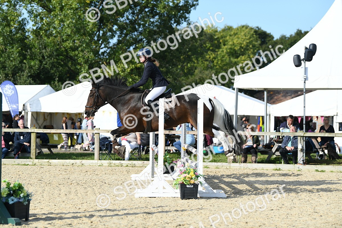 SBM_60525 - j25 - Junior Horse 80cm Championship