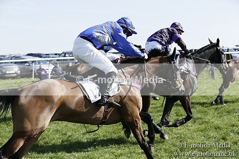PtP 260317 228 - Mendip Farmers Point-to-Point Ston Easton 26/03/17
