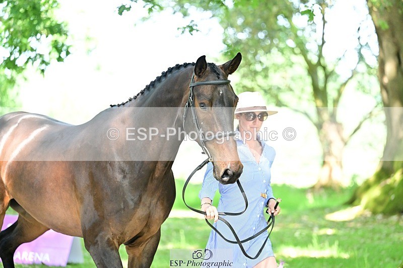 260527A-151244-00961 - C-356-Jenny.Caras