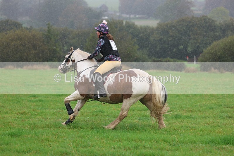 3E7A0860 - Class 1: 65cm: Rails