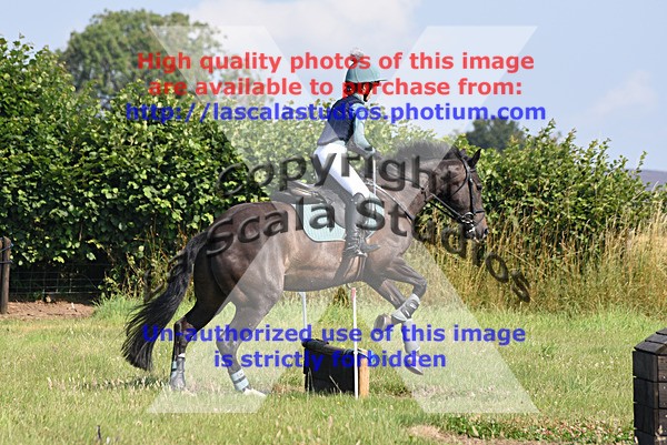 SNCP_0176 - N Group