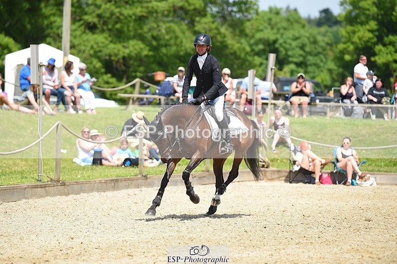 230528-121132-15573 - 361-FINCH_FANCY-Ben_Lee_Liles-SUNTrotUp+SJ