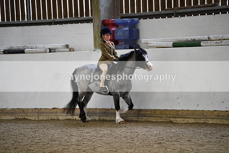 WJ5_6516 - Class 10 Childs Pony